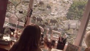 Optus: Where can your internet take you?